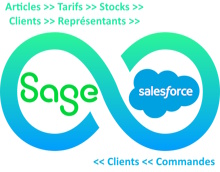 Sage 50 Salesforce